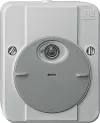 Merten Сумеречный датчик ARGUS, 2300ВА, 230В, IP54, цвет светло-серый