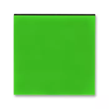 ABB Levit зелёный / дымчатый чёрный Накладка для светорегулятора клавишного