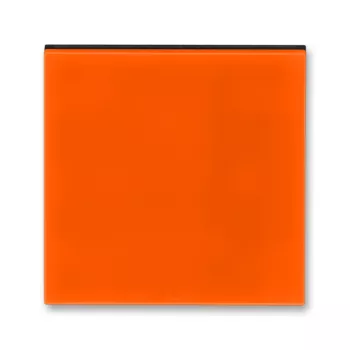 ABB Levit оранжевый / дымчатый чёрный Накладка для светорегулятора клавишного